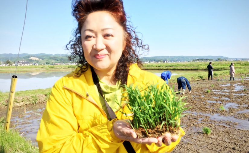 田植え作業2日目を終了しました